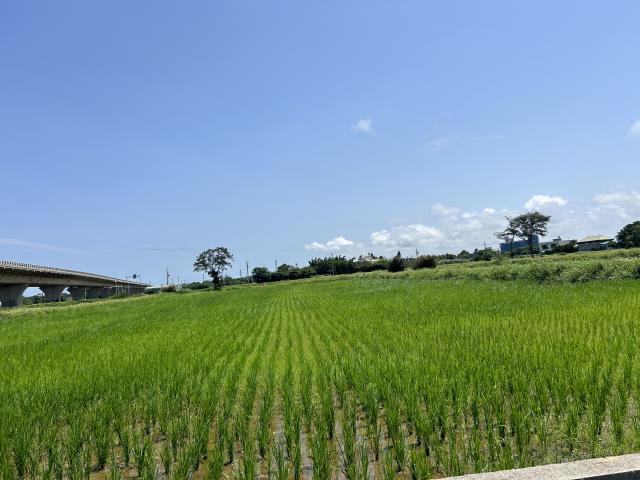 桃園新屋農地-1