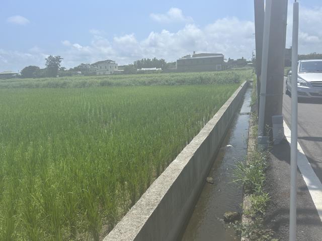 桃園新屋農地-2