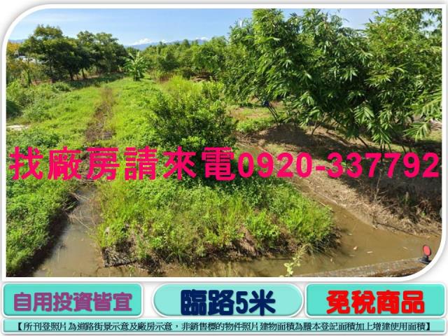 桃園八德農地-0