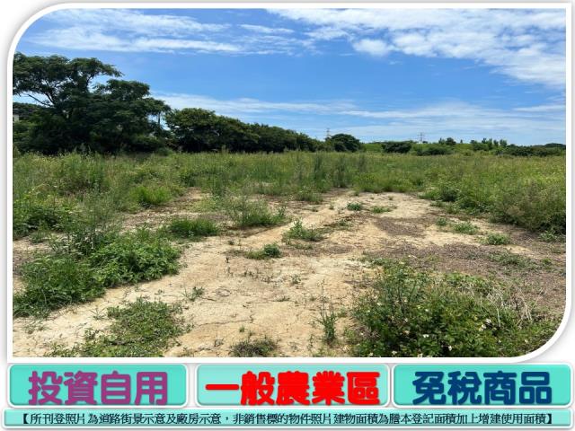 新屋農地-1