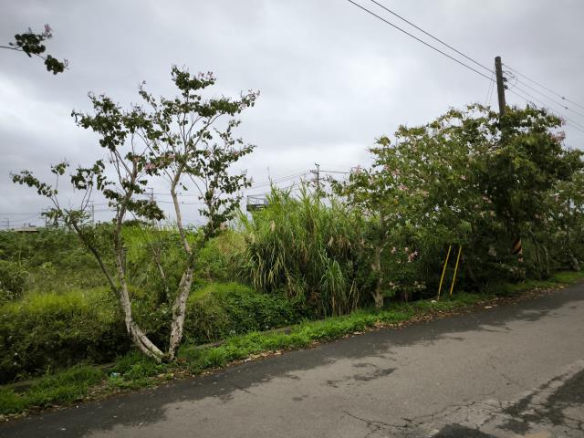 中壢工業地-2