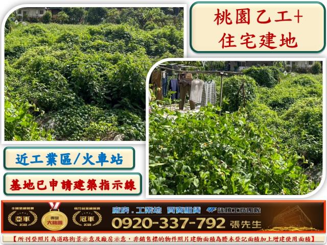 桃園桃園區建地-0
