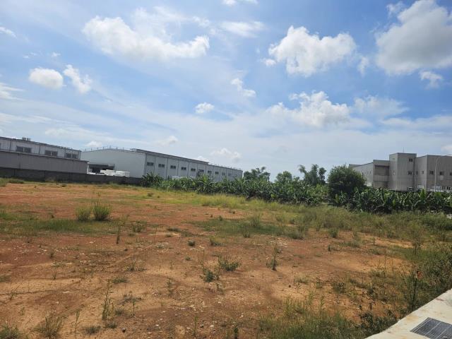 桃園新屋工業地-1