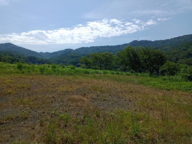 龜山工業地-1