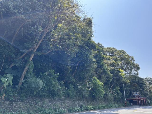 桃園農地-3