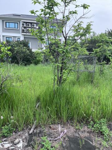 龍潭窯業用地-3