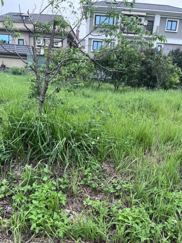 龍潭窯業用地-4
