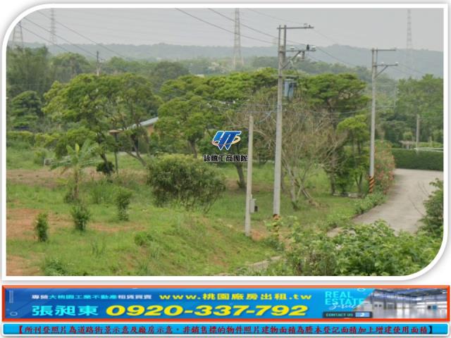 桃園龍潭農地-1