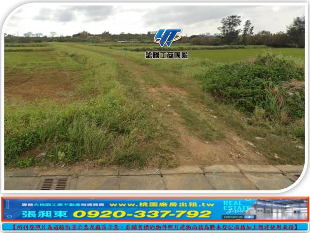 桃園觀音農地-0