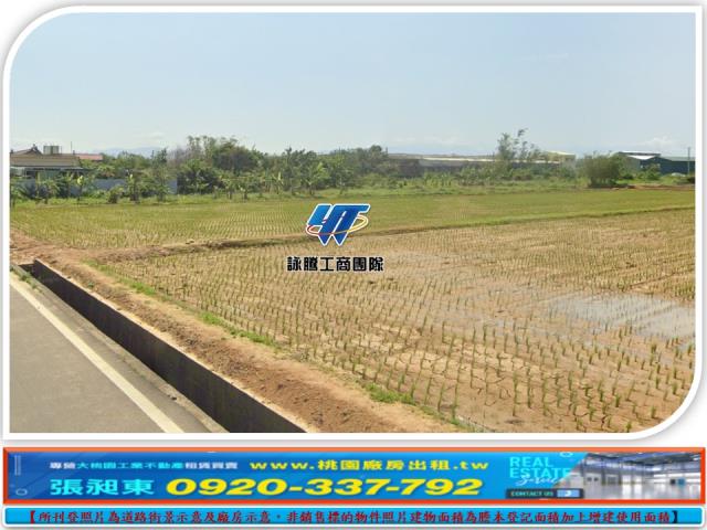 楊梅農地-1